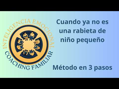 Vista previa del vídeo