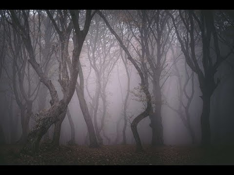 Ukleta Šuma Transilvanije