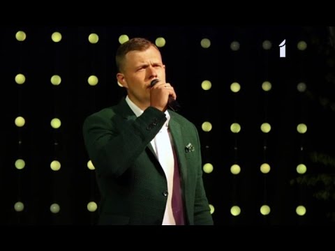 Dainis Skutelis "Bryunaceite"