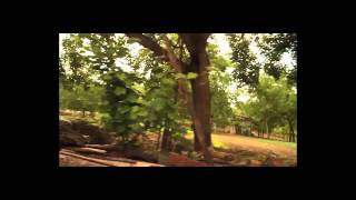 Adàm Qadmòn - ACAU: Gianni Maroccolo feat. Raiz