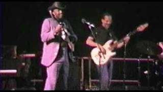 Otis Rush - Crosscut Saw