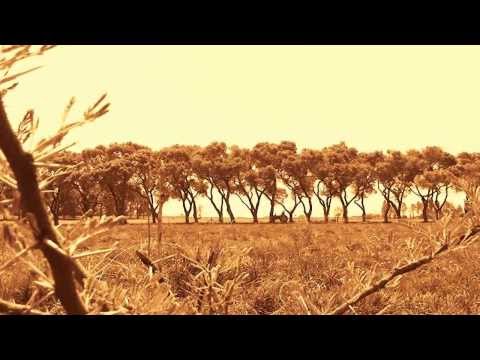 Nou Is Ek Weer Daar ( Peter Vincent)