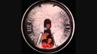 The Bee Gees - While I Play