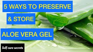 5 ways to Preserve Aloe Vera Gel at home for long time | How to Store Aloe Leaf