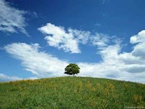 Kool Savas feat. Amar & Caput - Life goes on