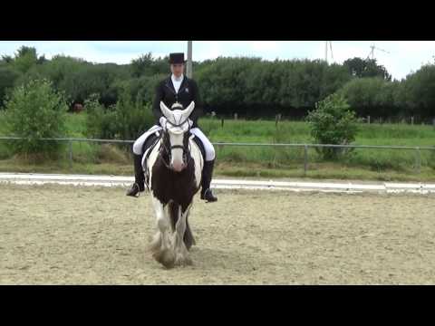 Tinker Sullivan und ich meistern unsere erste Kandaren L!! (L5)