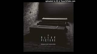 The Bleak Picture - Absence Of Light m