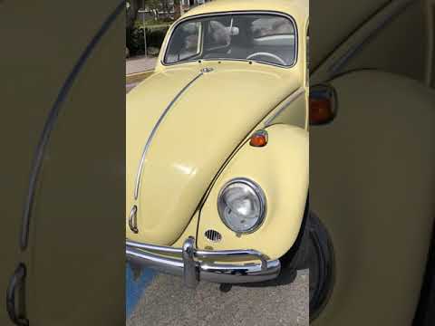 1964 Volkswagen Beetle (CC-1193692) for sale in Carlsbad, California