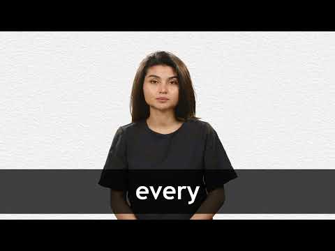 EVERY definition and meaning Collins English Dictionary EVERY definition and meaning Collins English Dictionary