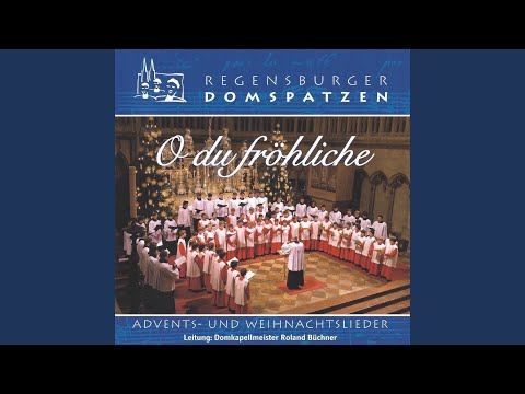 Siehe, ich sende meinen Engel