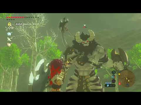 Lynel kill in 18 seconds
