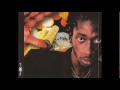 Bounty Killer - Bulls of Chicago (Queens Mix)