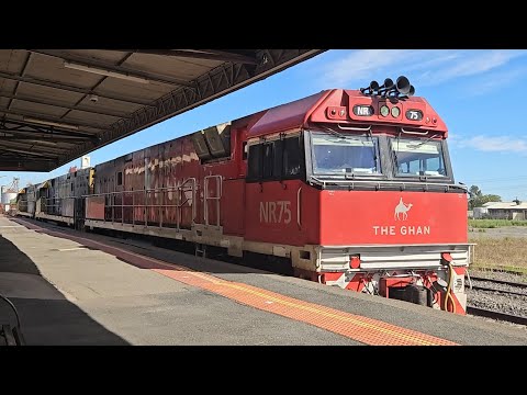 7XM4 PN up Steelie/Intermodal (NRs 75 11 122), Spencer Jnc to Melbourne, 1110, 23/3/25, Horsham VIC