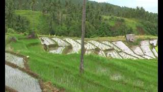 preview picture of video 'Philippines, Biliran Island, Balaquid rice-terraces.'