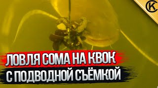 Ловля сома на сердобе
