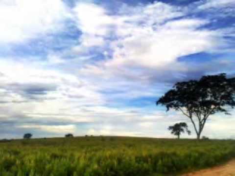 Hino 114 (en castellano) - Eliseu Carlos