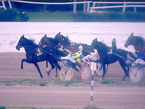 Trotto 15/03/2019 - 6ª corsa