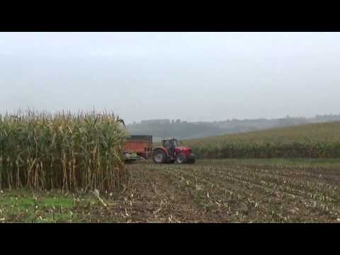 Loonw. Willen D - Oudenaarde