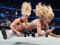 SmackDown: Kelly Kelly vs. Michelle McCool