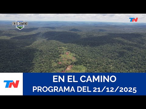 ON THE ROAD I "In the heart of the jungle" (Full program of 12/21/2025)