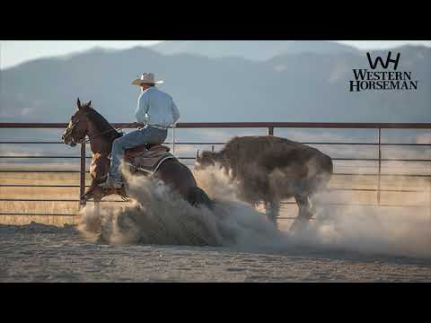 Brandon Buttars Works Buffalo, Not Cattle