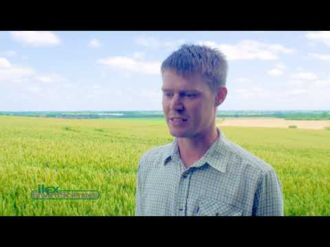 Ilex EnviroSciences - Working with farmers to improve plant health and nutrition