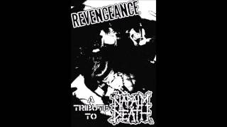Revengeance - Instinct of Survival (Napalm Death cover)