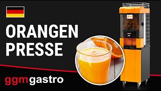 Support - Orange - Kunststoff et tôle d’acier laquée - 470x578x800mm - avec 4 roulettes - pour Presse-oranges OPE24O