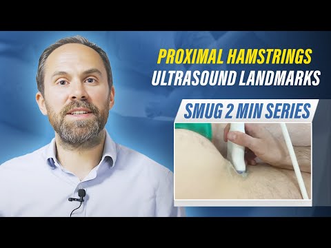 Proximal hamstrings ultrasound landmarks - SMUG 2 mins series