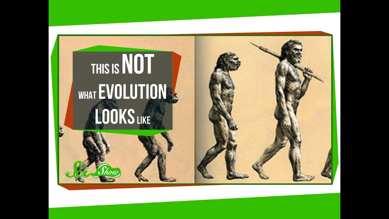 This is NOT What Evolution Looks Like