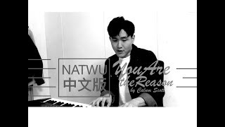 填上中文詞 Nat Wu 用華語翻唱 Calum Scott 的 You Are The Reason