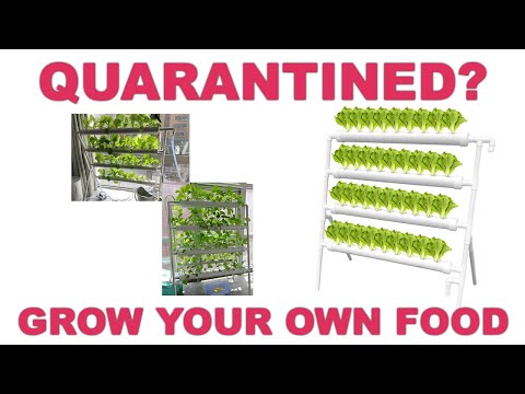 WEPLANT Hydroponic 36 box opening