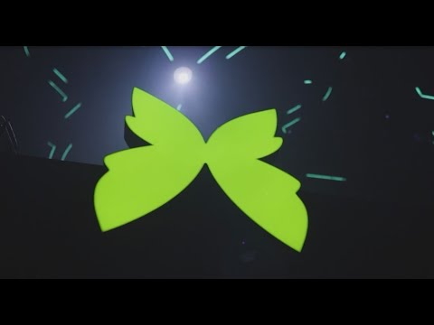 Aftermovie Green Valley 15 anos