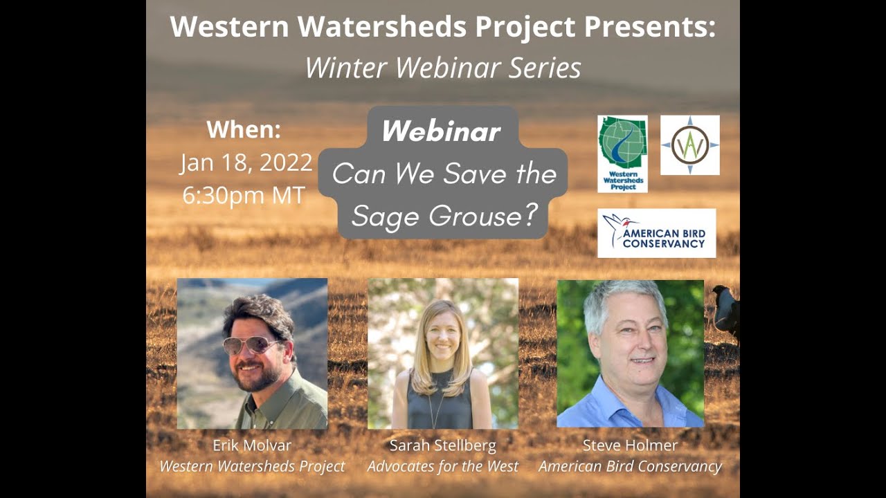 Can We Save the Sage Grouse? Western Watersheds Project Winter 2022 Webinar Series