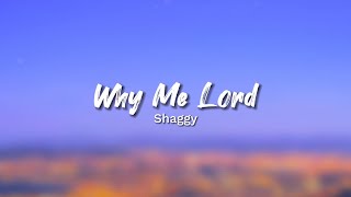 Download lagu Shaggy - Why Me Lord (Lyrics) mp3 Download lagu Shaggy - Why Me Lord (Lyrics) mp3