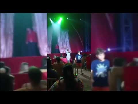 Reprise cupido - palhaço tico