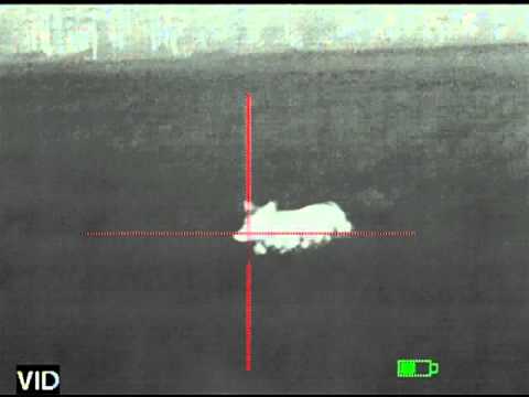 ATN THOR HD 5-50x100 Video #1