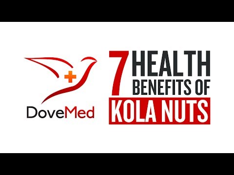 7 Health Benefits Of Kola Nuts
