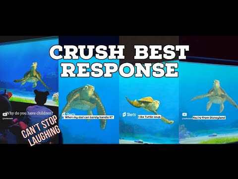 CRUSH BEST RESPONSE | Turtle talk with crush 😃