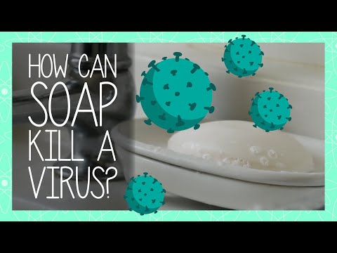 How Can SOAP Kill a Virus?