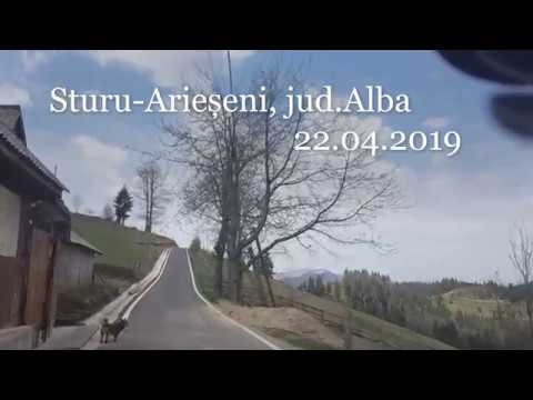 Prin Apuseni ( Arieseni ,jud.Alba Aprilie 2019)