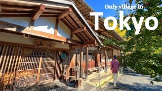 Staying The Only Village in Tokyo, 90 Minutes from Shinjuku | Hinohara Village | JAPAN TRAVEL VLOG