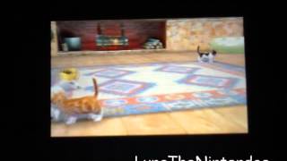 *WORKS* original Nintendogs + Cats Cheats: Time Travel. More Money. Unlock Stuff. More competitions