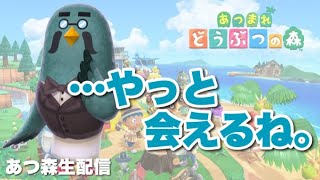なんでアプデ来てるの！？島クリ間に合ってないけどアプデ内容楽しみまくる配信！