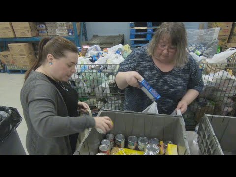 How to fight hunger: inside your local food bank