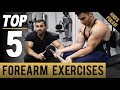 TOP 5 FOREARM & WRIST Mass Exercises! (Hindi / Punjabi)