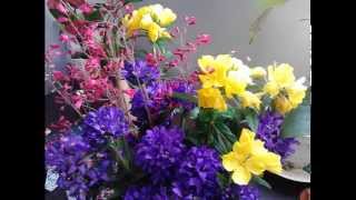 Coldplay Clocks panpipes cover