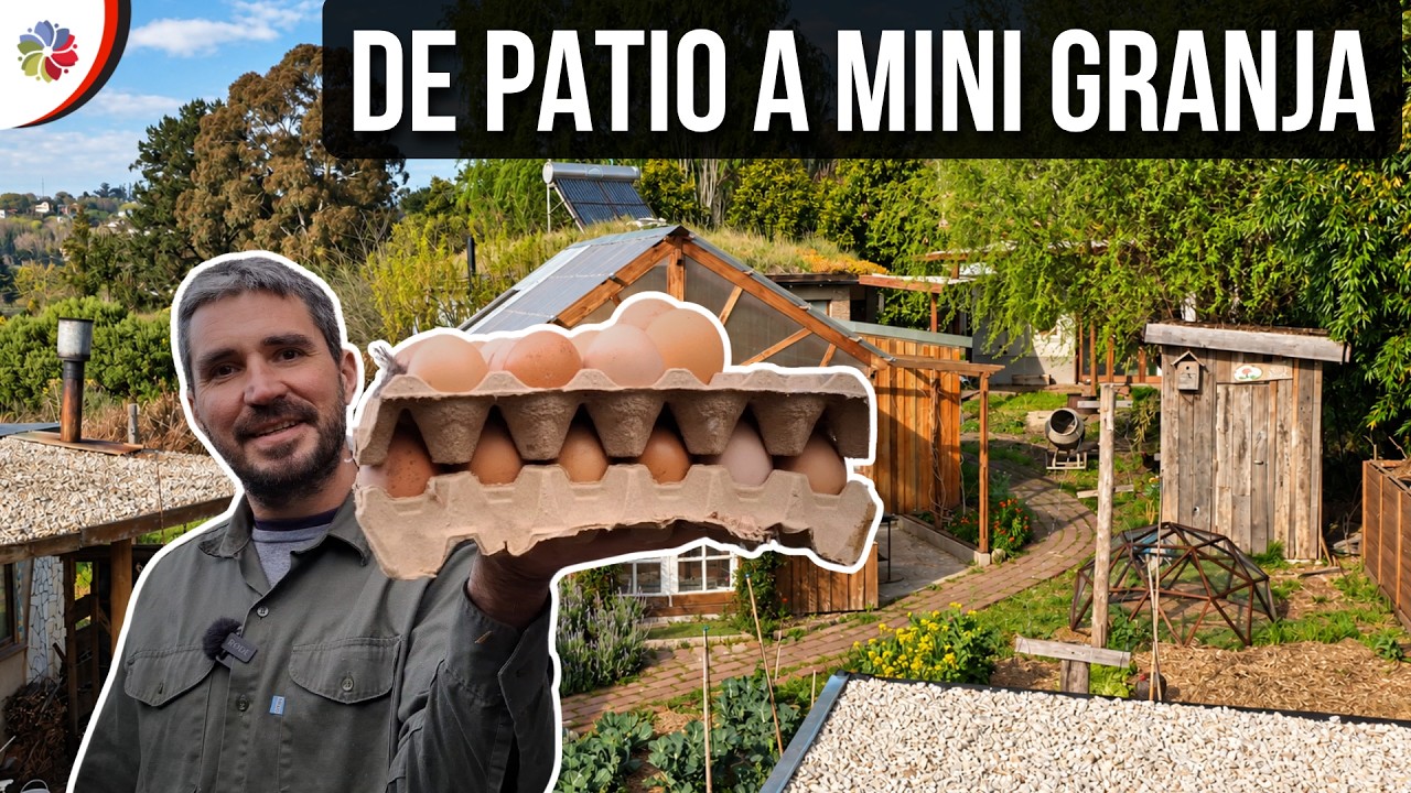 TRANSFORMÉ mi PATIO en una MINI GRANJA 👨‍🌾