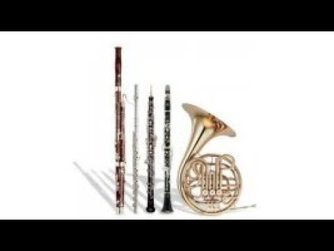 Anton Reicha: Wind Quintet, Op. 88, No. 2