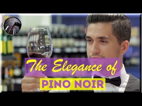 Journey Into Pinot Noir Wine | Delicate Grapes to Enchanting Flavors